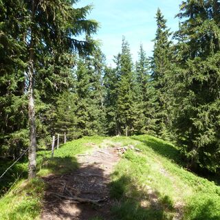 Am Saalachtaler Höhenweg.
