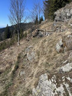 Fotografija s spletne strani Carola Krems na poti