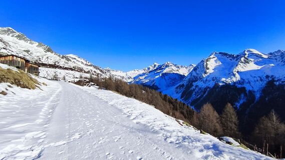 Photo de walrei le long du parcours