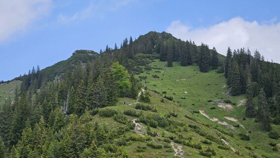 Photo de Christian Thomas le long du parcours