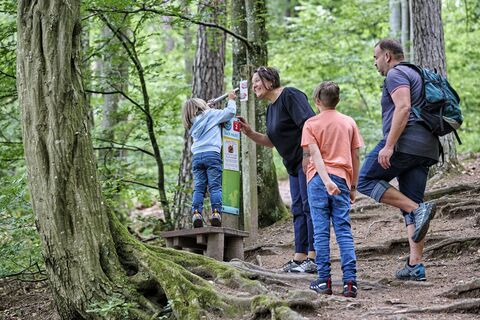 DSGVO Wüstenrot Dachsi Pfad Jun24 Trykowski 12 web