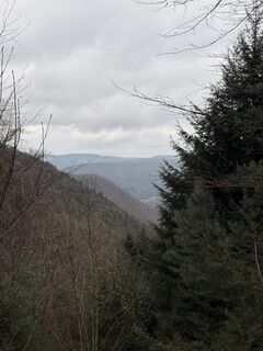 Fotografija s spletne strani Felix Rietz na poti