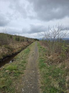 Photo de Martina Gerneck le long du parcours
