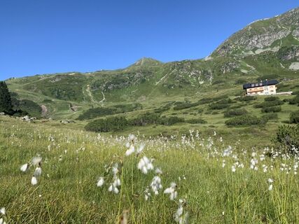 Fotografija s spletne strani Koen De Wit na poti