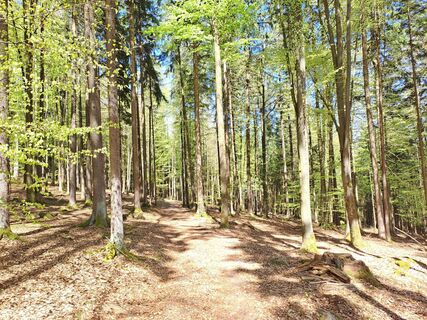 Foto de Wanderbursche66 a lo largo del recorrido