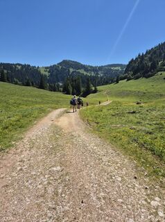 Schwarzalm, Niederösterreich/Österreich