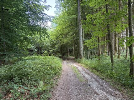 Foto von Alfons Wiesinger 1 entlang der Tour