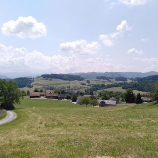 Blick vom Hüsligs nach Müselbach