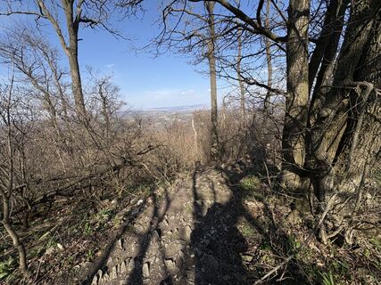 Foto de Wolfgang Feichtinger a lo largo del recorrido