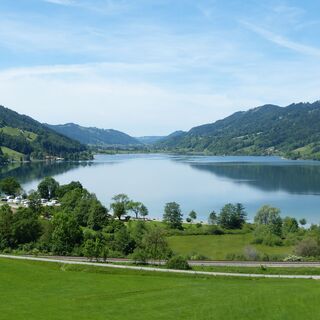 Blick auf den Großen Alpsee