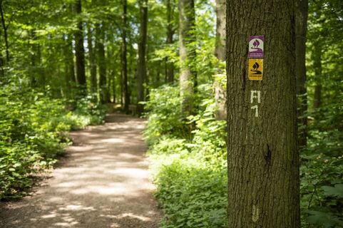 Wanderweg A1