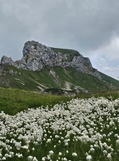 Foto von Grieshofer Gerlinde entlang der Tour