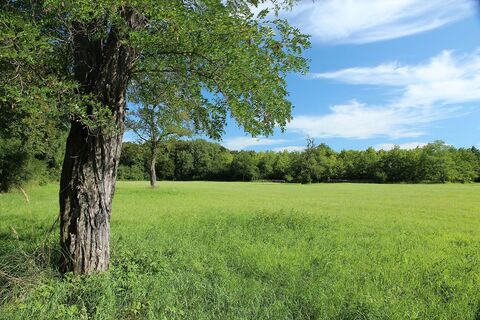 Großer Orther Rundwanderweg