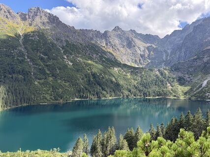 Fotografija s spletne strani Gorgi na poti
