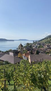 Foto von Vera Schoedl entlang der Tour
