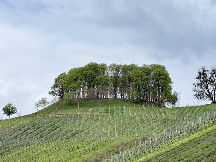 Foto von Norbert Herbig entlang der Tour