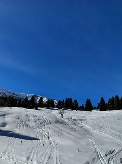 Photo de corrado le long du parcours