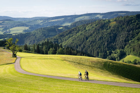 Rennrad fahren im Hochschwarzwald