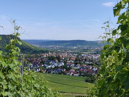 Foto de Oliver Doll a lo largo del recorrido