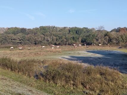Foto von Poschacher entlang der Tour
