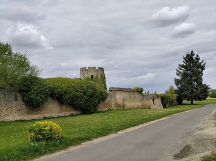Fotografija s spletne strani didgur na poti