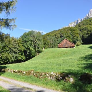 Die Lichtung Frachtina