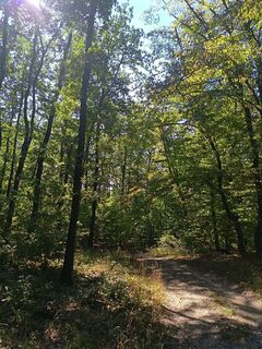 Foto de Julika Jármer a lo largo del recorrido