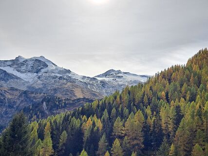 Foto von Pinzger Petra ??‍♀️?? entlang der Tour