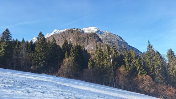 Foto von Regina Fleischmann entlang der Tour