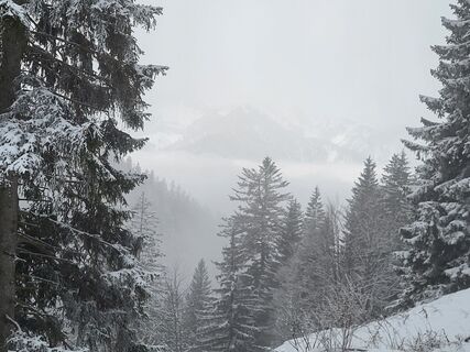 Foto von Ramona Pronath entlang der Tour