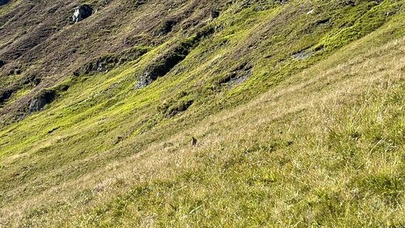 Photo de Stefan Knecht 1 le long du parcours