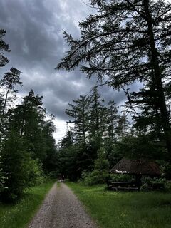 Photo de Harald Engel le long du parcours
