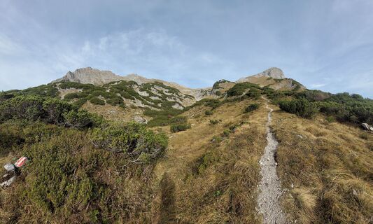 Fotografia z schenkeli na trase