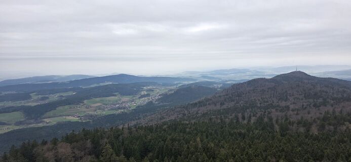 Foto von Michael Steiniger entlang der Tour