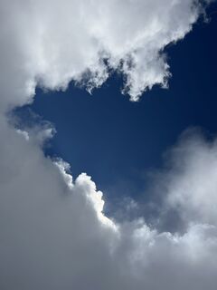 Fotografia z Horst Scheikl na trase