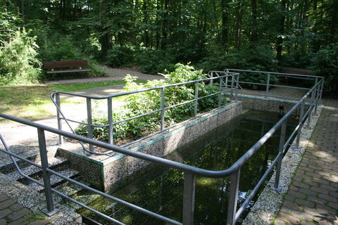 Tretbecken Heiligenberg