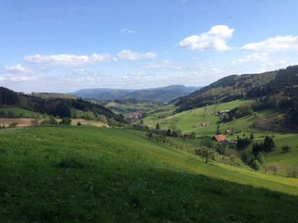 Blick ins idyllische Prinzbachtal