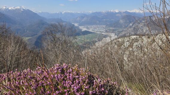 Foto von euterpe42 entlang der Tour