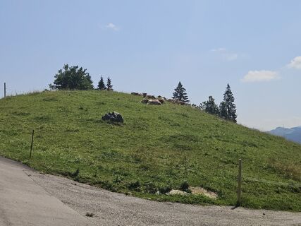 Photo de Volker Wagener le long du parcours