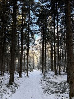 Foto von Robert Corazza entlang der Tour