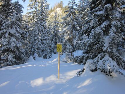 Kleine Rosenkogelrunde in Bad Goisern am Hallstättersee