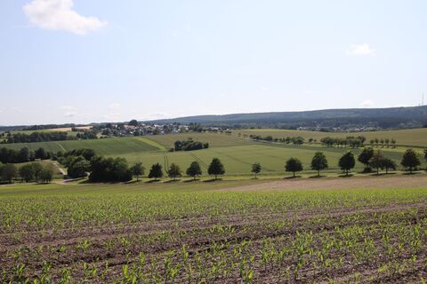 Zdjęcie z Günter Kleutsch wzdłuż trasy