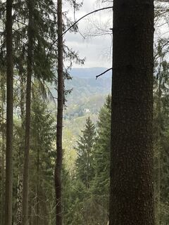 Foto da Ines Köhler lungo il tour