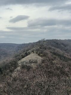 Fotografia z Julika Jármer na trase