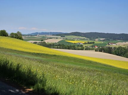 Foto von lucc entlang der Tour