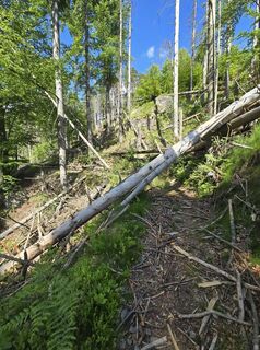 Fotografia z Markus Ortner na trase