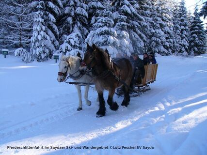 Mit dem Pferdeschlitten unterwegs im Saydaer Ski- und Wandergebiet