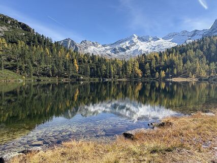Fotografija s spletne strani Stefka Köfler na poti