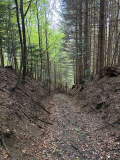 Photo de Martin Sicher le long du parcours
