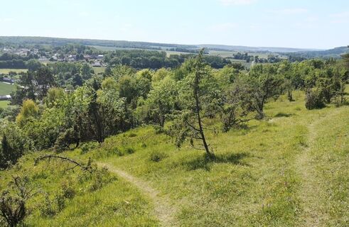 Larris Saint-Aubin-Rivière